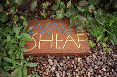 Wave/Sheaf